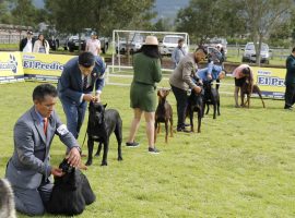 420147875_1115003082813537_1658252608937870917_n